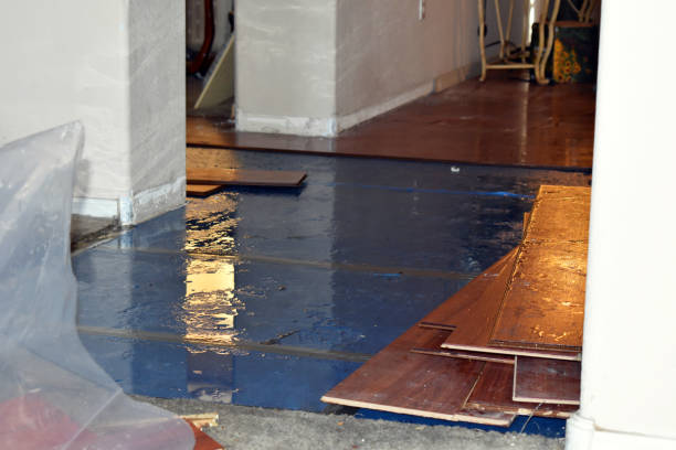 Professional Water Damage Repair technician working in Farmland, IN